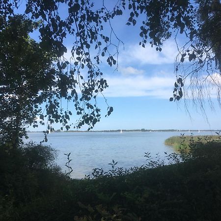 Ferienwohnung Am Strelasund Sundhagen-Niederhof المظهر الخارجي الصورة