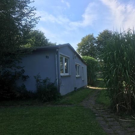 Ferienwohnung Am Strelasund Sundhagen-Niederhof المظهر الخارجي الصورة