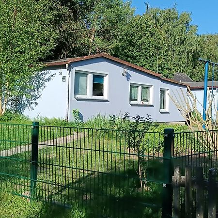Ferienwohnung Am Strelasund Sundhagen-Niederhof المظهر الخارجي الصورة